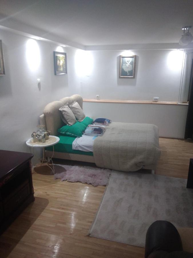 Goksi Apartment Subotica Extérieur photo
